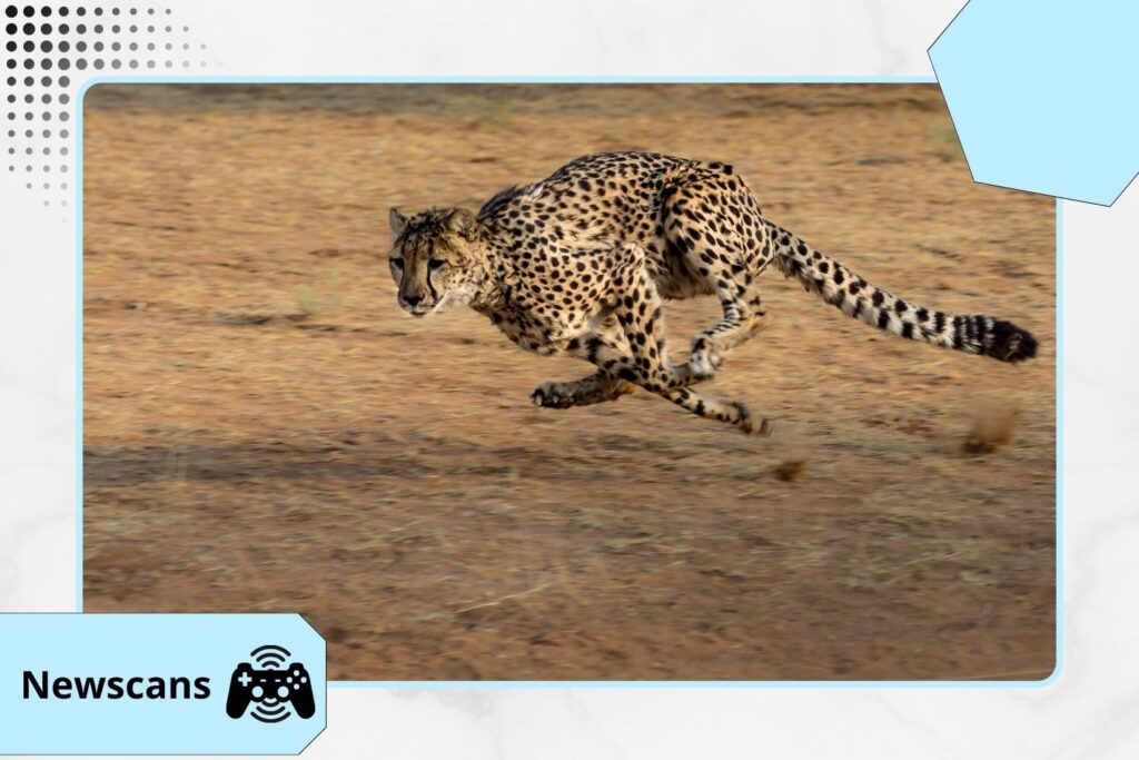 Clean Your Device For Free Right Now!