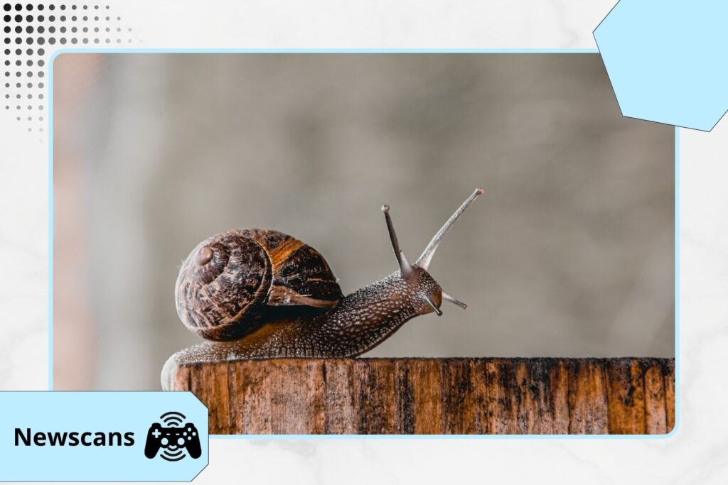 Clean Your Device For Free Right Now!

